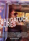 Saugatuck Cures (2014).jpg